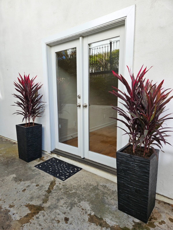 property at 2149 Via Tiempo