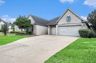 20010 Meadow Arbor Ct in Katy, TX - Building Photo