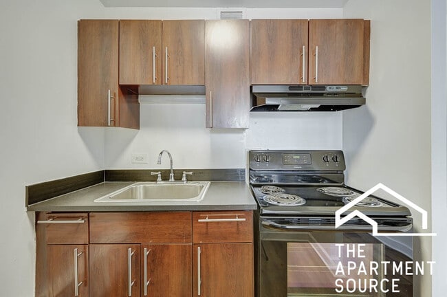 441 W Oakdale Ave in Chicago, IL - Building Photo - Building Photo