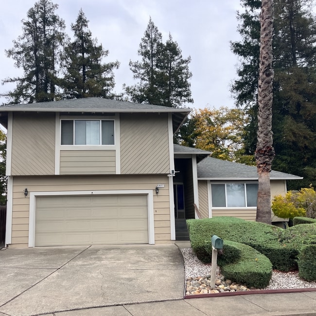 4410 Hampton Ct