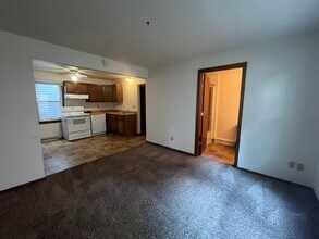 411 W Doty St, Unit #1 in Madison, WI - Building Photo - Building Photo