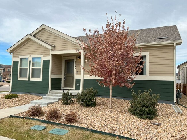 1125 Hummingbird Cir in Longmont, CO - Building Photo - Building Photo