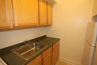 541 W Arlington Pl in Chicago, IL - Foto de edificio - Building Photo