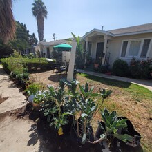 323-329 1/2 N Coronado St in Los Angeles, CA - Building Photo - Building Photo