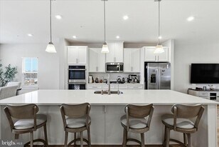 14447 Albemarle Point Pl in Chantilly, VA - Building Photo