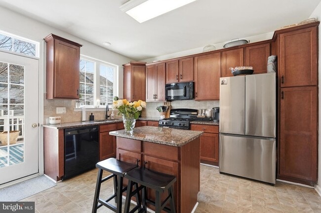 20390 Bass Rocks Terrace in Ashburn, VA - Foto de edificio - Building Photo