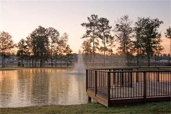 property at 29031 Village Creek Loop