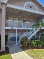 4903 Myrtle Oak Dr in New Port Richey, FL - Building Photo