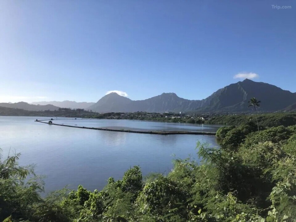 46-102-102 Ipuka Pl in Kaneohe, HI - Building Photo