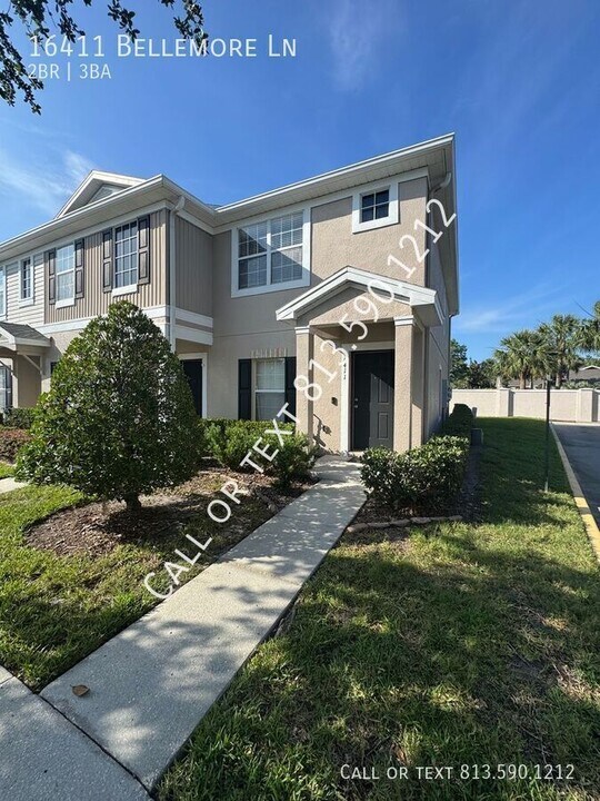 16411 Bellemore Ln in Odessa, FL - Building Photo