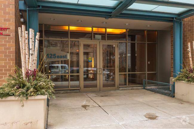 The Lofts at Museum Park I in Chicago, IL - Building Photo - Building Photo