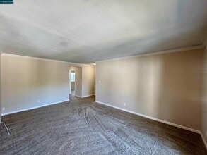 315 Masters Ct in Walnut Creek, CA - Building Photo - Building Photo