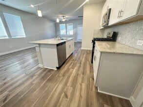 9615 Blue Water Hyssop in Conroe, TX - Building Photo - Building Photo