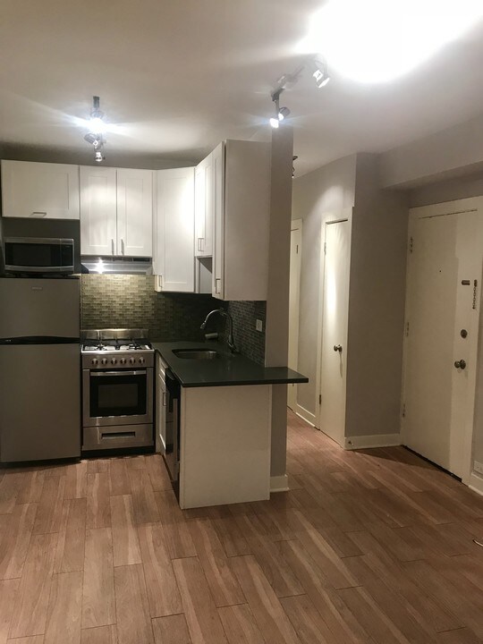 509 W Belmont Ave in Chicago, IL - Building Photo