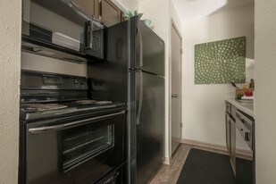 The View on Fox Creek in Lewisville, TX - Building Photo