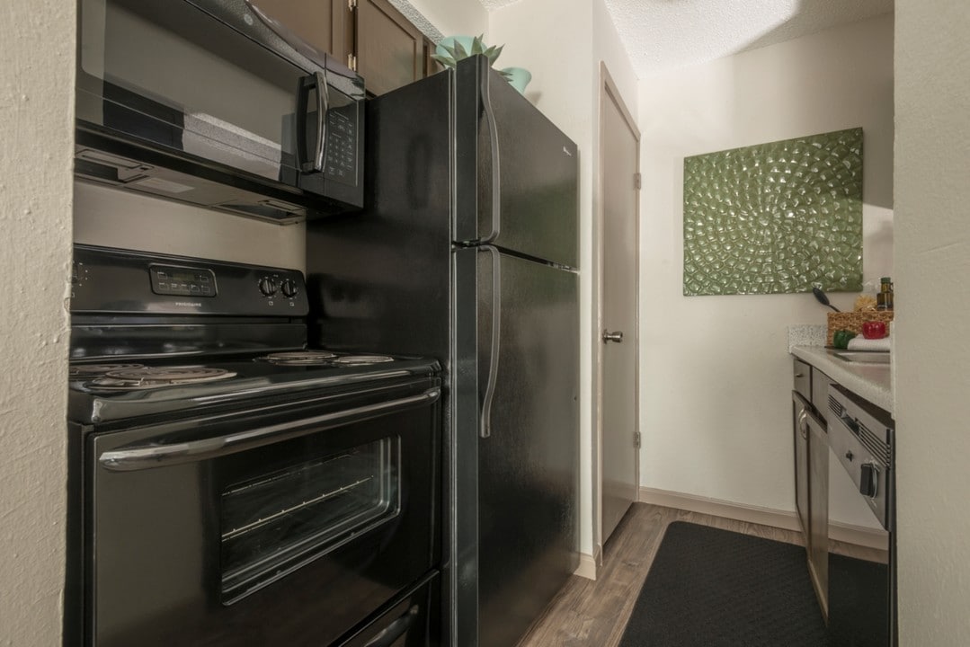 The View on Fox Creek in Lewisville, TX - Building Photo