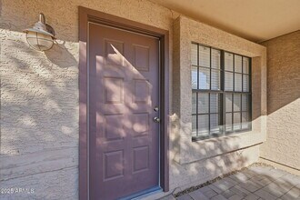 16264 N 66th St in Scottsdale, AZ - Building Photo - Building Photo