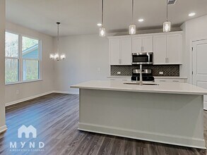 719 Riverwood Pass in Dallas, GA - Foto de edificio - Building Photo