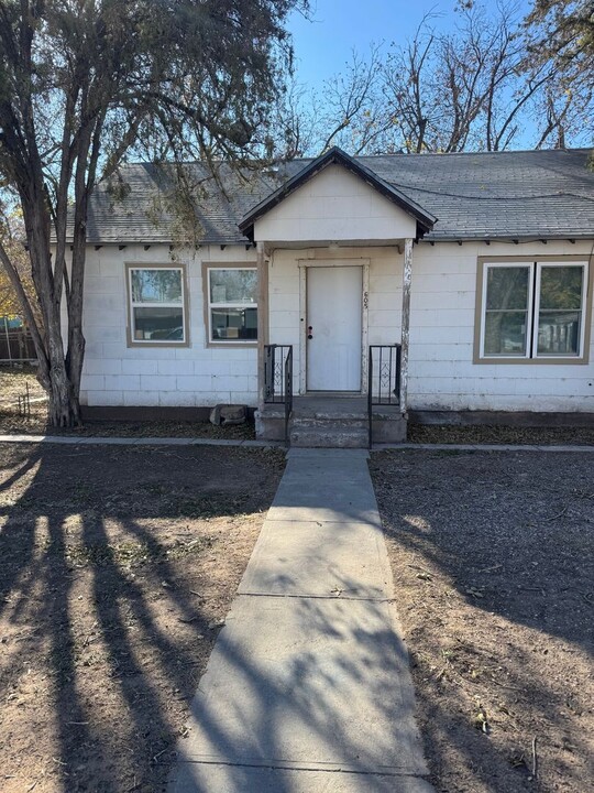 605 W Luckey St in Carlsbad, NM - Building Photo