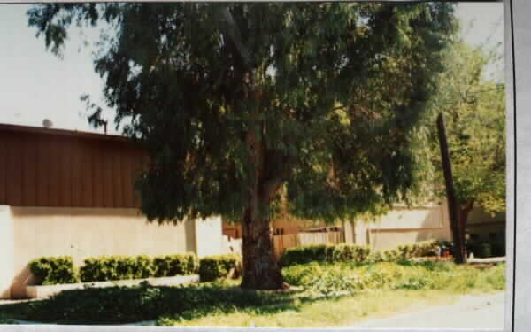 915 N Vicentia Ave in Corona, CA - Building Photo - Building Photo