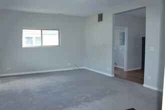 135 E Chestnut St in Coal City, IL - Building Photo - Building Photo