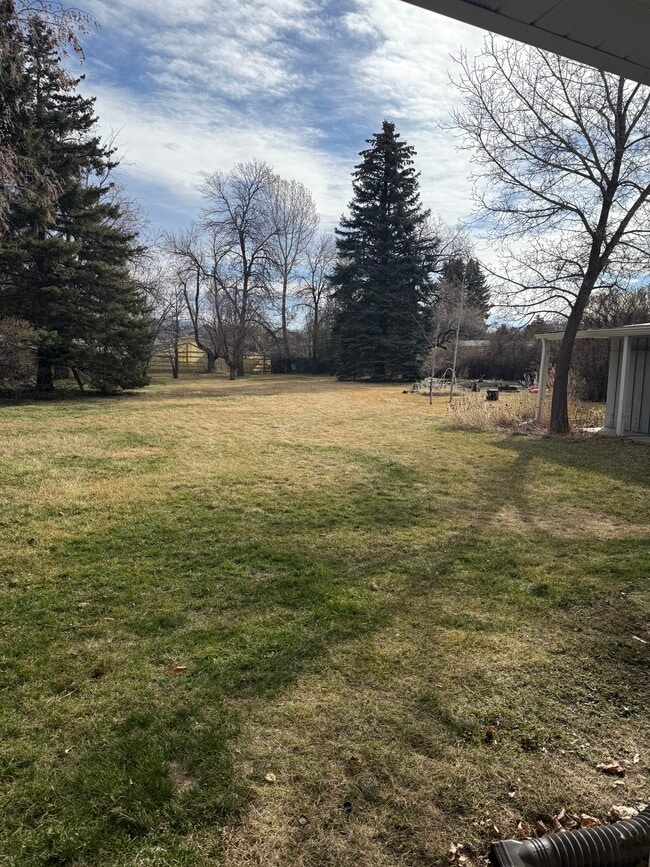 704 N 17th Ave in Bozeman, MT - Foto de edificio - Building Photo