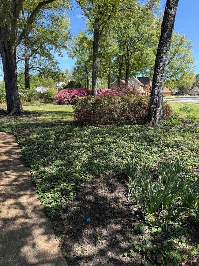 2805 Morning Woods Dr in Memphis, TN - Building Photo - Building Photo