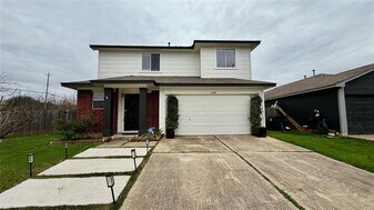 15209 Mimebark Way in Austin, TX - Building Photo