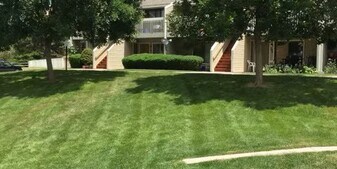 532 Oakwood Dr in Castle Rock, CO - Building Photo