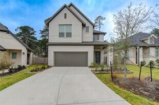 296 Mallorn Ln in Montgomery, TX - Building Photo