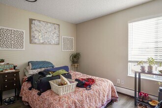 4510 Picturesque Cir in Colorado Springs, CO - Building Photo - Building Photo