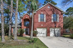 22 Belcarra Pl in Spring, TX - Building Photo