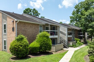 333 Holly in The Woodlands, TX - Foto de edificio - Building Photo
