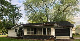 1102 Harmon St in Danville, IL - Building Photo