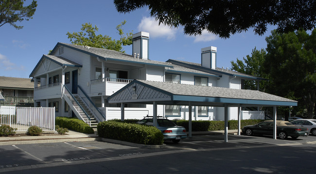 Diablo Terrace Terrace Apartments in Concord, CA - Building Photo - Building Photo