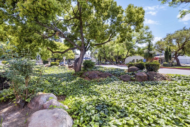 Shadowbrook in Modesto, CA - Foto de edificio - Building Photo