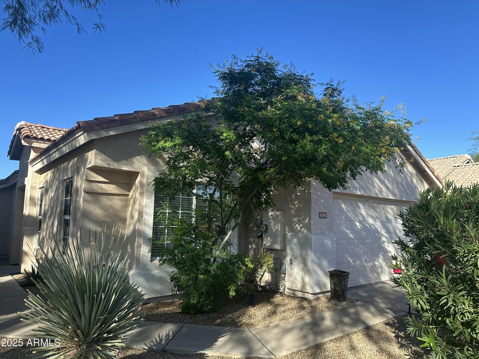 4256 E Chaparosa Way in Cave Creek, AZ - Building Photo
