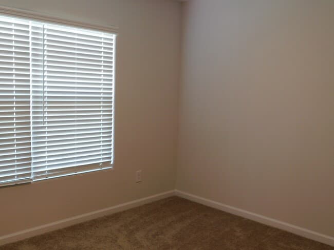 228 Sundew Rd in Elgin, SC - Building Photo - Building Photo