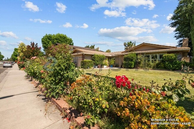 935 Springoak Way in Stockton, CA - Building Photo - Building Photo