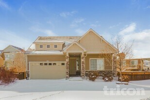 3328 Starry Night Loop in Castle Rock, CO - Building Photo