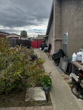 571 Reisling Ct in Manteca, CA - Building Photo - Building Photo