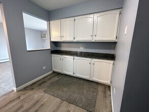 1 Parkside Ct in Vernon Hills, IL - Building Photo - Building Photo