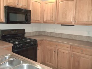5258 Cornerstone Dr in Fort Collins, CO - Building Photo - Building Photo
