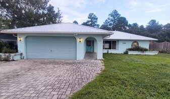 11455 Riddle Dr in Spring Hill, FL - Building Photo