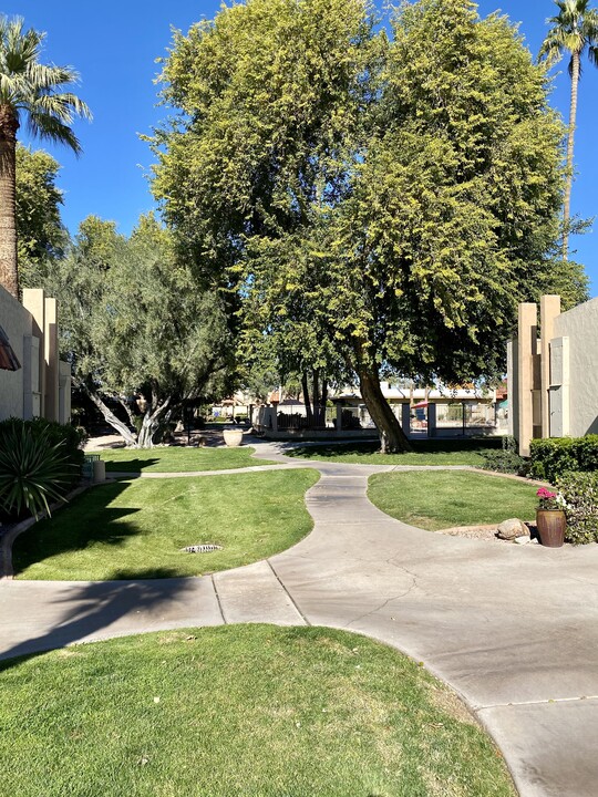 1320 E Bethany Home Rd in Phoenix, AZ - Building Photo