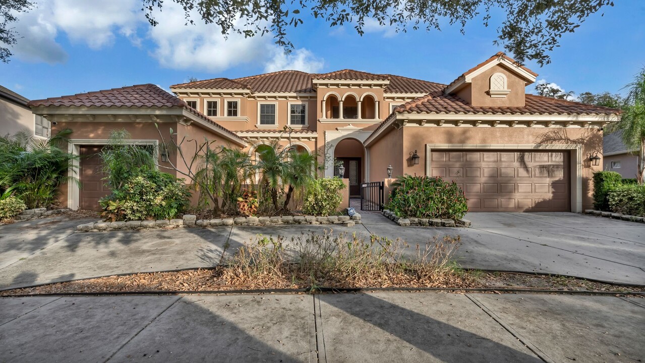 19214 Climbing Aster Dr in Tampa, FL - Building Photo