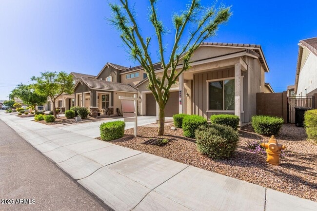 2072 E Lantana Dr in Chandler, AZ - Building Photo - Building Photo