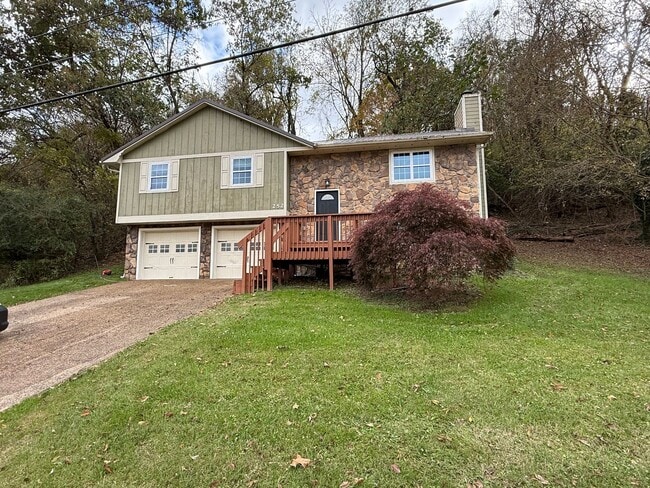 252 River Edge Dr in Kingsport, TN - Building Photo - Building Photo