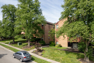 Alpine Terrace Condominiums Apartments