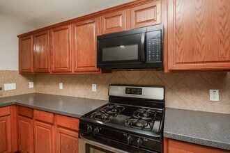 21811 Black Mountain Way in Katy, TX - Building Photo - Building Photo